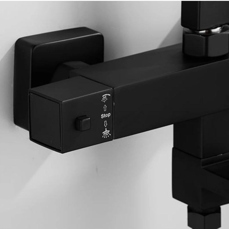 Brass Thermostatic Shower Faucet