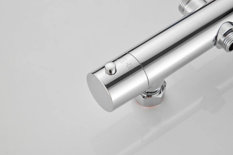 Dual-Function Thermostatic Shower System