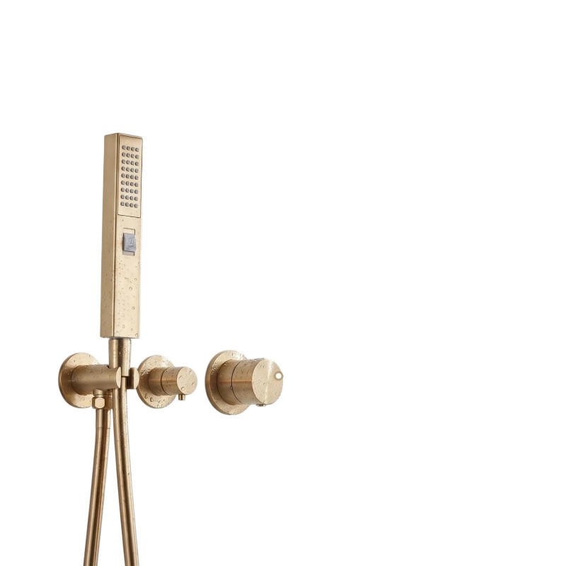 Dual-Handle Built-in Shower Set